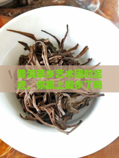 普洱茶乡艺术团在哪里呢