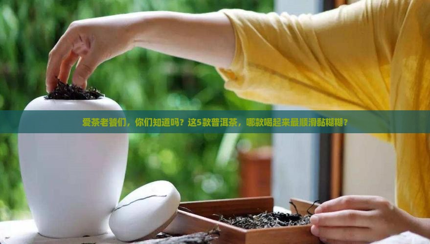 哪款普洱茶粘稠度最高