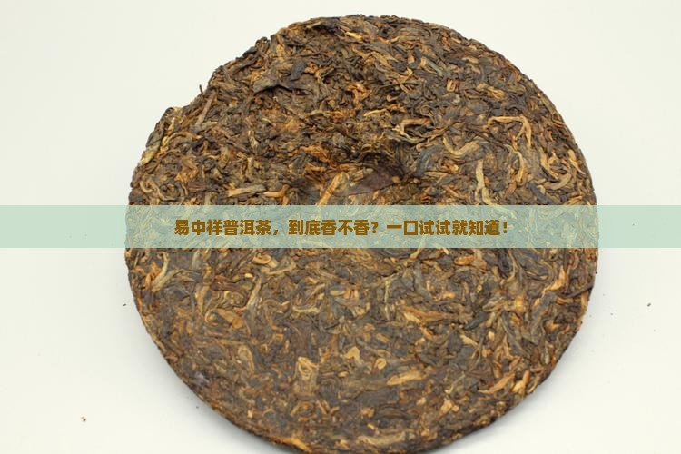 易中祥普洱茶怎么样