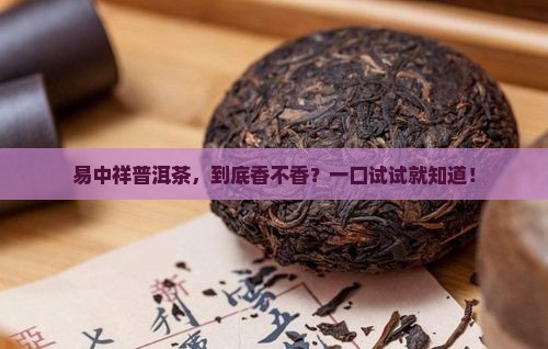 易中祥普洱茶怎么样