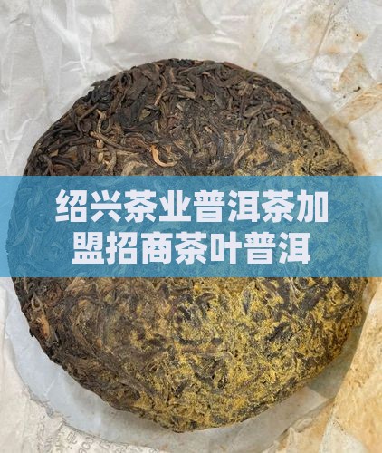 绍兴靠谱普洱茶招商