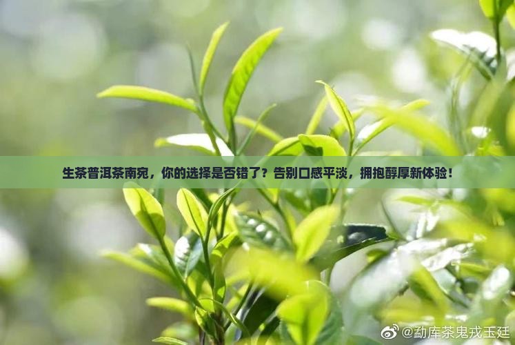 生茶普洱茶南宛