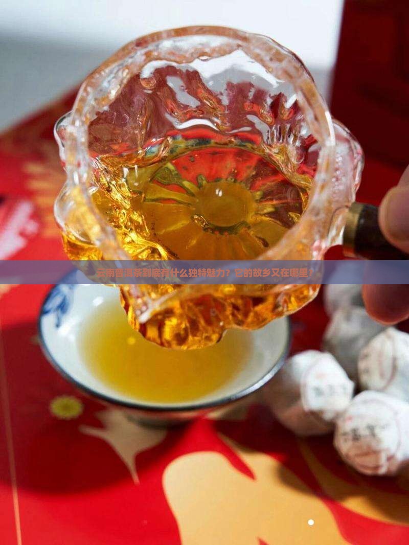 云南普洱茶产地以及特点