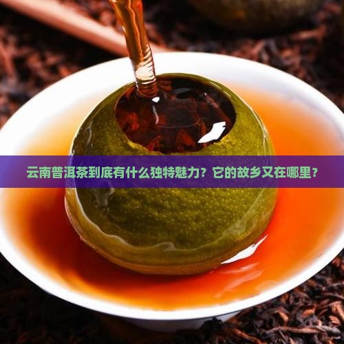 云南普洱茶产地以及特点