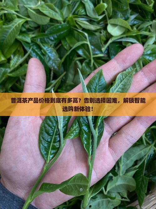 普洱茶产品价格