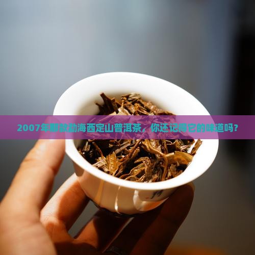 2007勐海西定山普洱茶