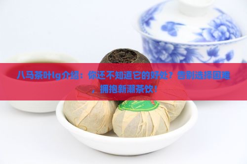 八马茶叶lg介绍