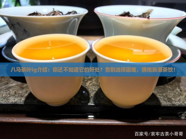 八马茶叶lg介绍