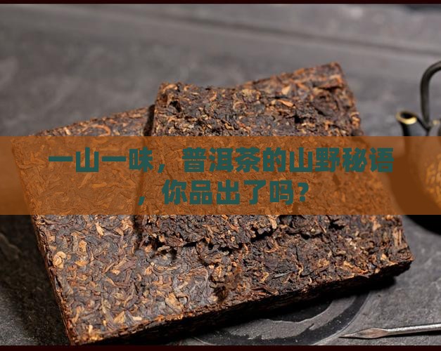 什么是普洱茶的一山一味