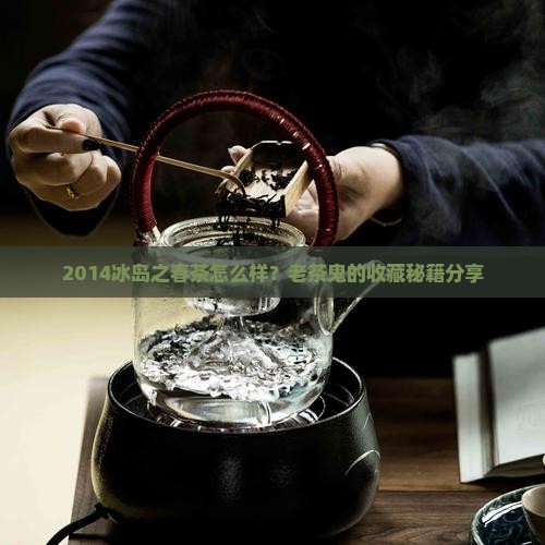 2014冰岛之春生茶