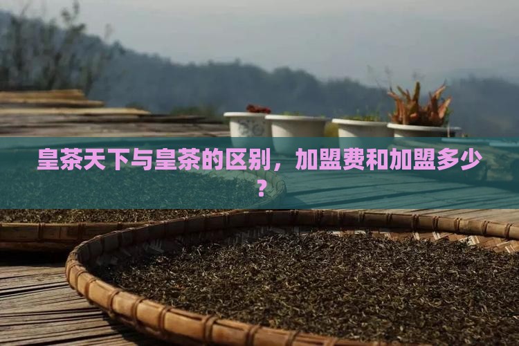 皇茶天下与皇茶的区别