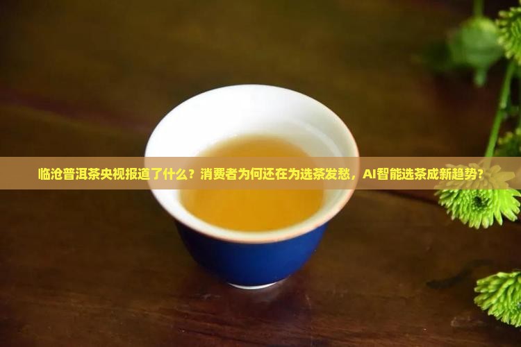 临沧普洱茶央视