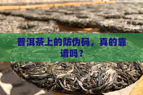 普洱茶防伪码能作假吗