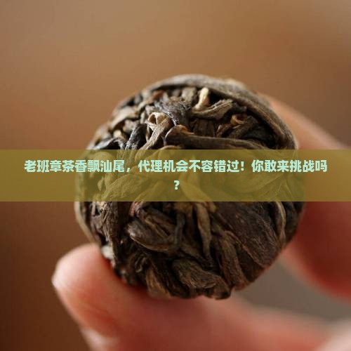 汕尾老班章渠道代理招商