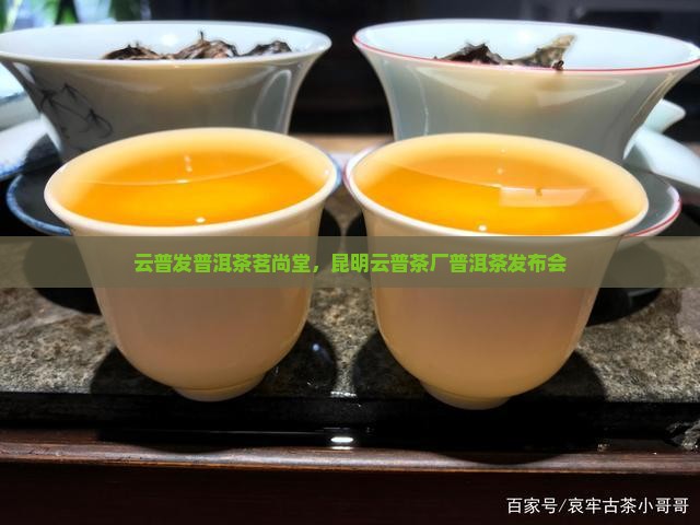 云普发普洱茶茗尚堂