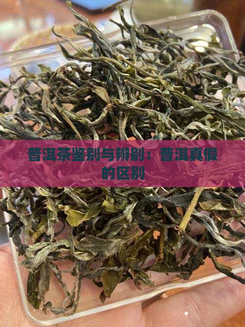 普洱茶正品和假冒的区别