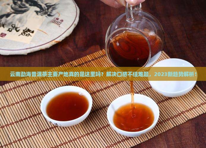 云南勐海普洱茶主要产地