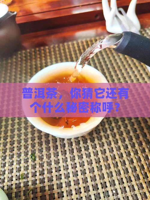 普洱茶一称为什么