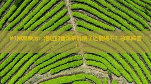 普洱茶沉了还能喝吗