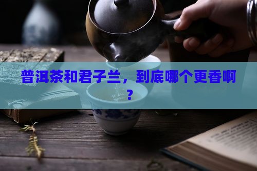 普洱茶和君子兰哪个好种