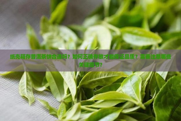 纸壳箱存普洱茶饼怎么存