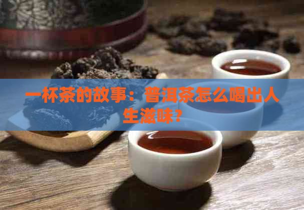 茶馆介绍普洱茶