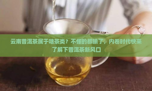 云南普洱茶属于啥茶类