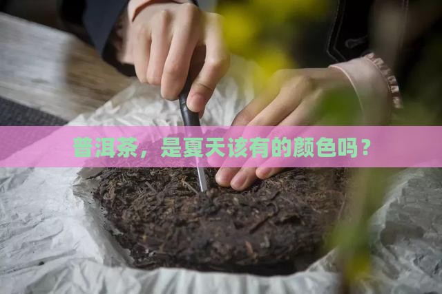 普洱茶属于夏天的颜色