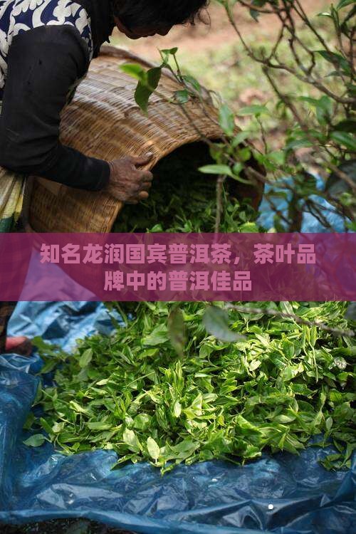 龙润国宾普洱茶