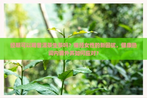 经期可以喝普洱茶生茶吗