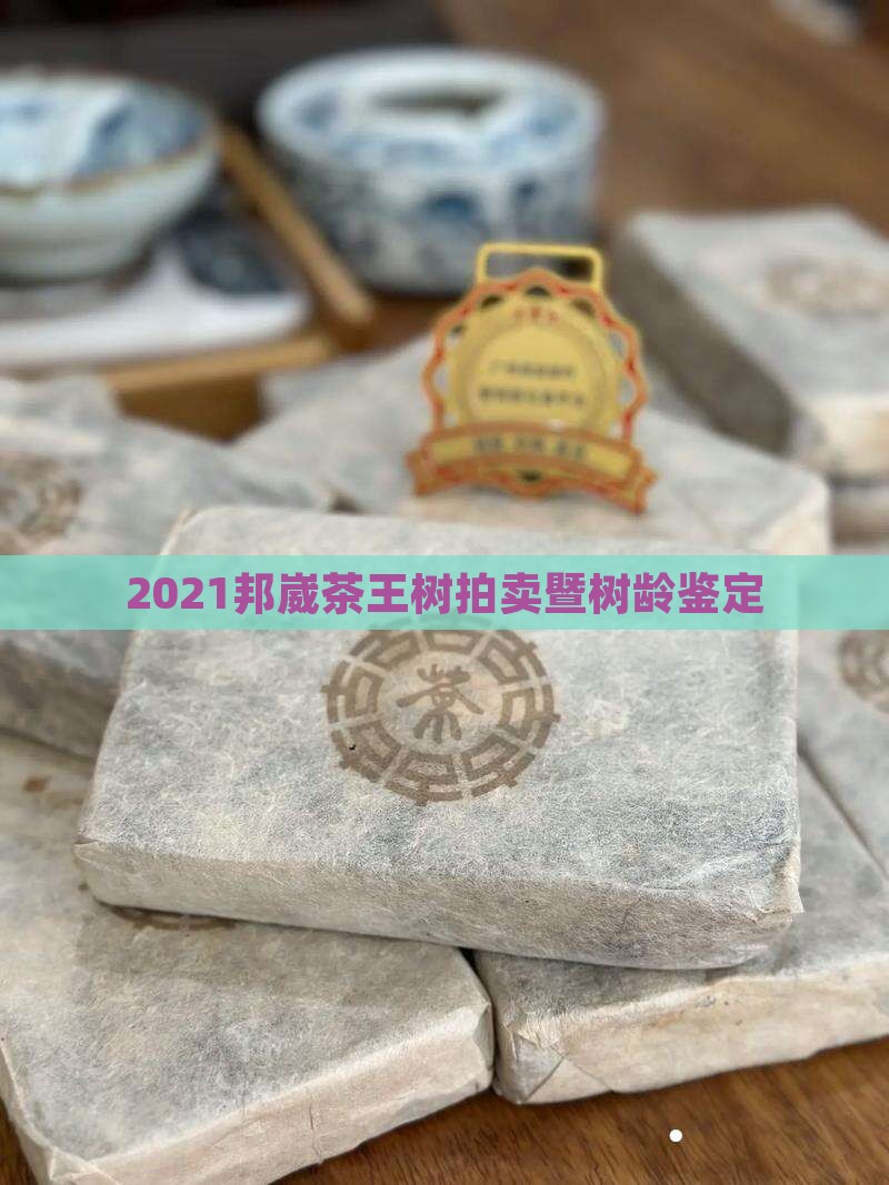 2021邦崴茶王树