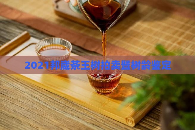 2021邦崴茶王树