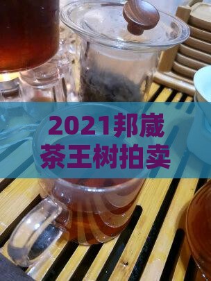 2021邦崴茶王树