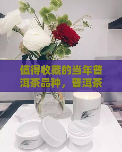 值得购买藏的当年普洱茶品种