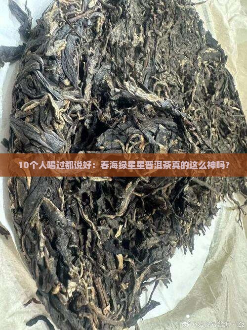 春海绿星星普洱茶