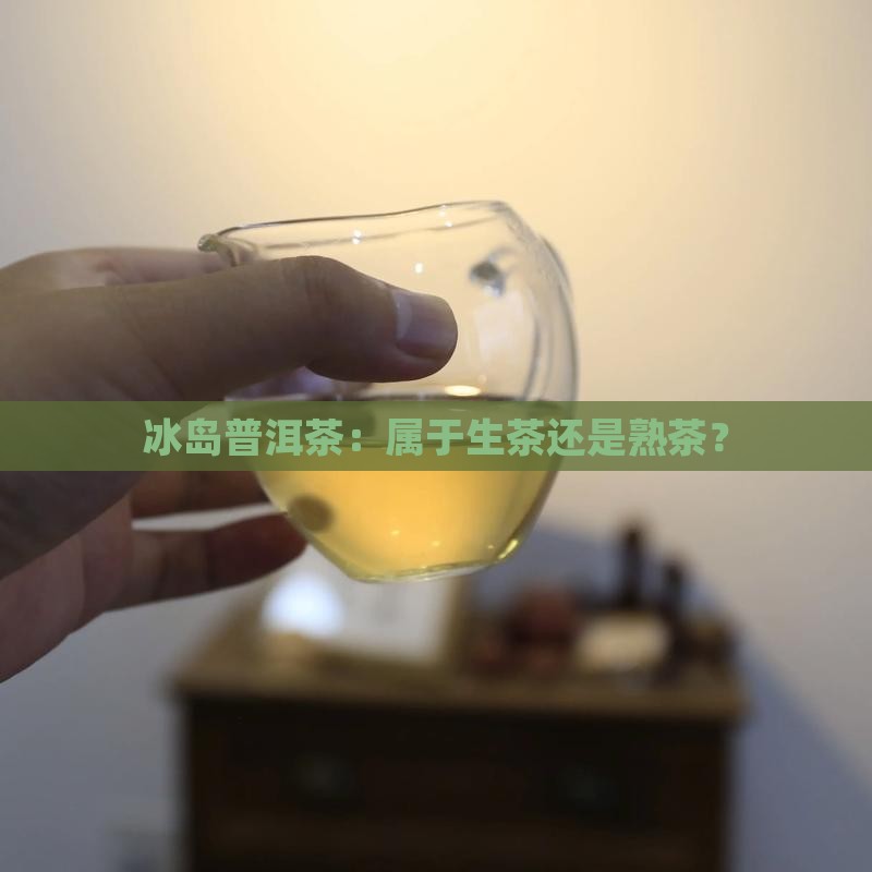 冰岛属熟茶还是生茶