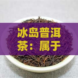 冰岛属熟茶还是生茶