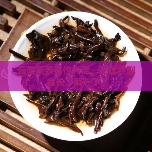 王建兵云南茶协副会长