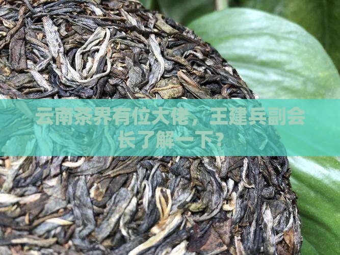 王建兵云南茶协副会长