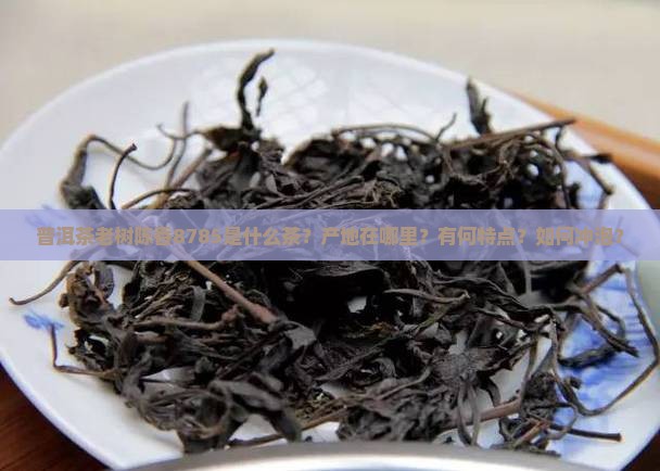 普洱茶老树陈香8785