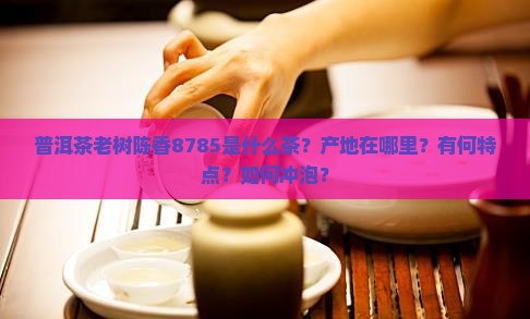 普洱茶老树陈香8785