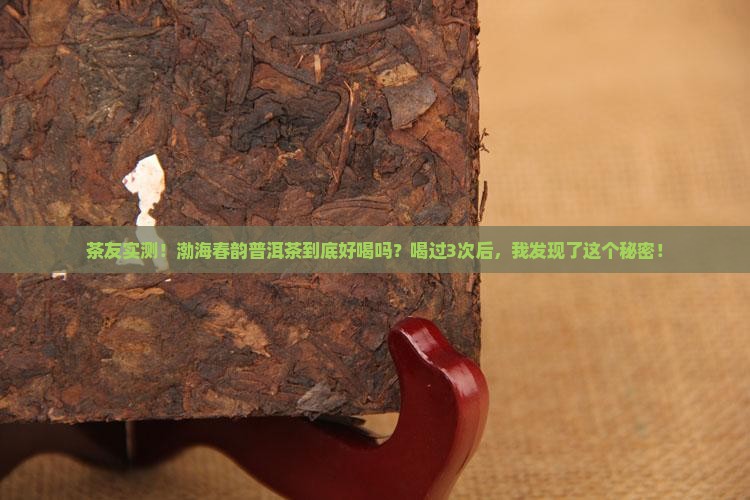 渤海春韵普洱茶怎么样好喝吗