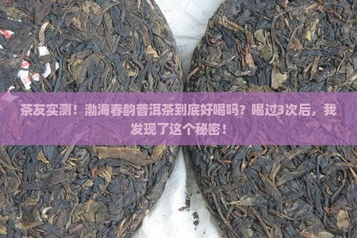 渤海春韵普洱茶怎么样好喝吗