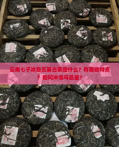 云南七子冰岛五寨古茶