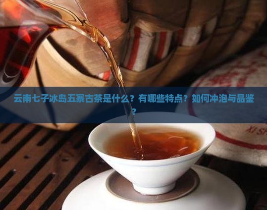 云南七子冰岛五寨古茶