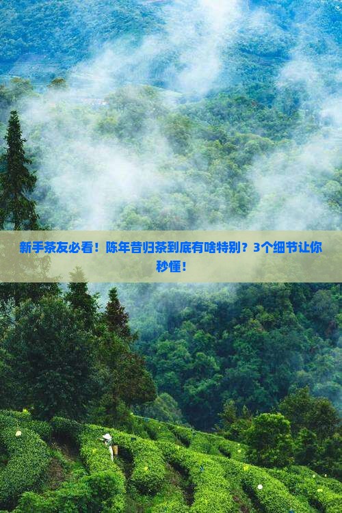 陈年昔归茶特点