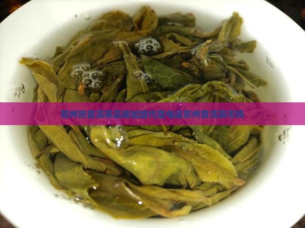 苏州熟普洱茶品牌加盟代理