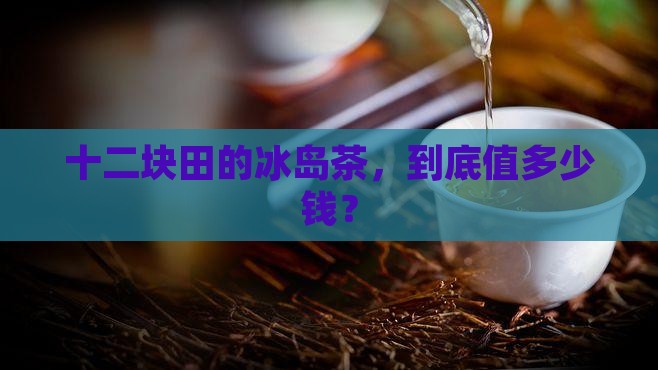 十二块田冰岛茶叶价格