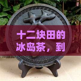 十二块田冰岛茶叶价格