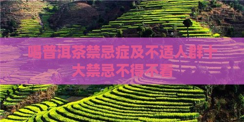 喝普洱茶禁忌症
